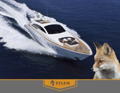 A Foxy Yacht Charter